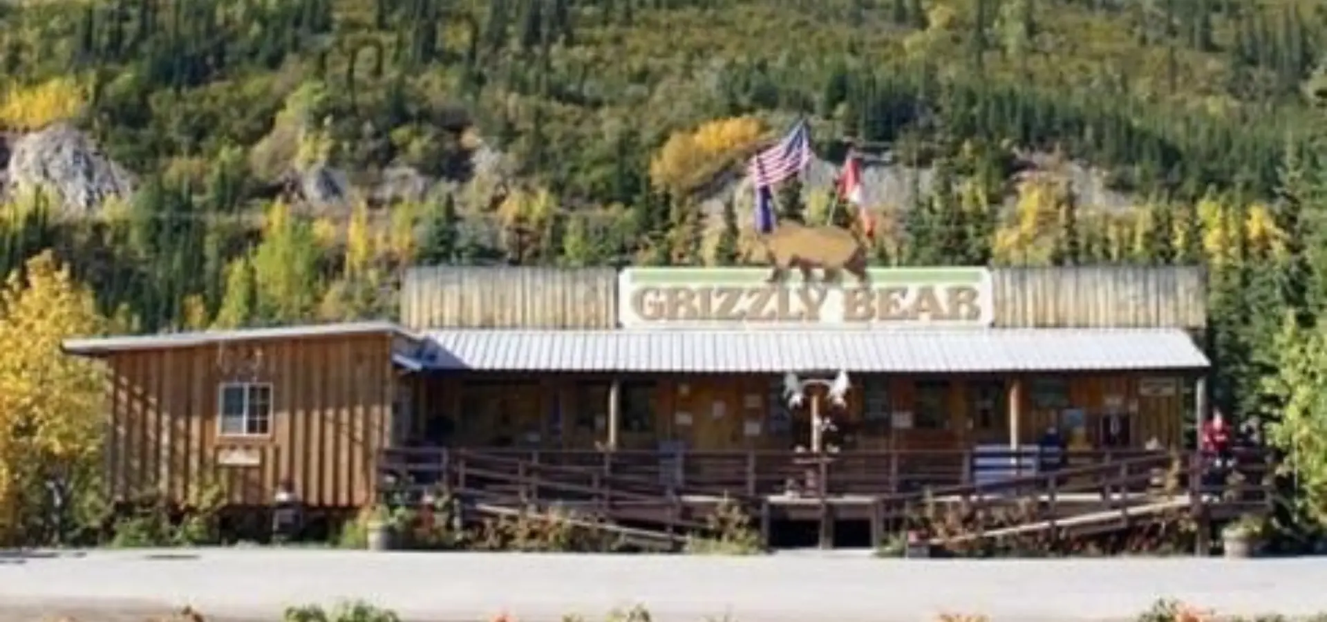 Denali grizzly bear resort 6