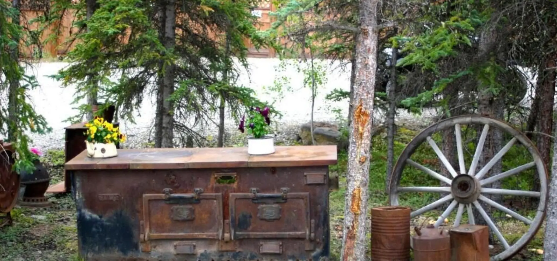 Denali grizzly bear resort 4