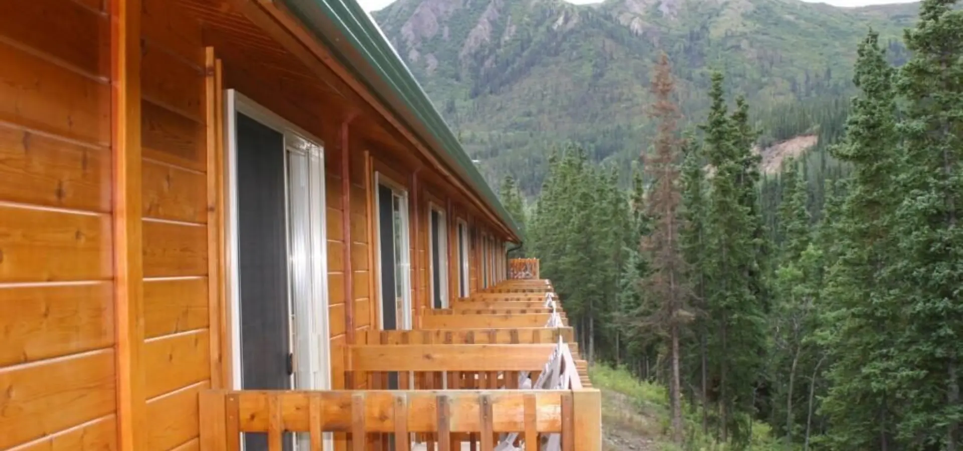 Denali grizzly bear resort 2