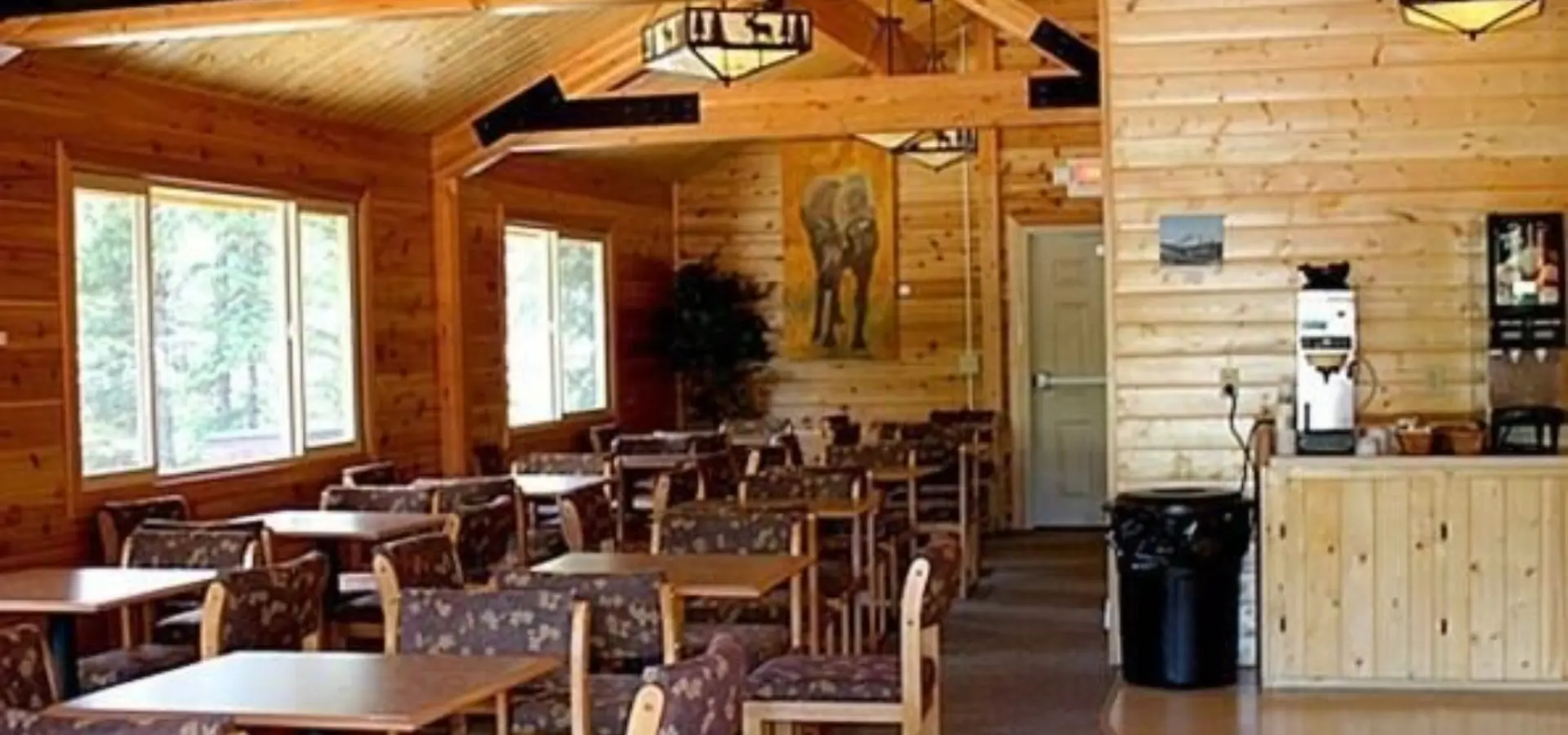 Denali grizzly bear resort 5