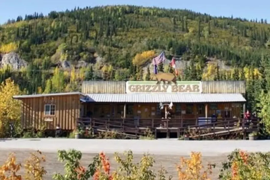 Denali grizzly bear resort 6