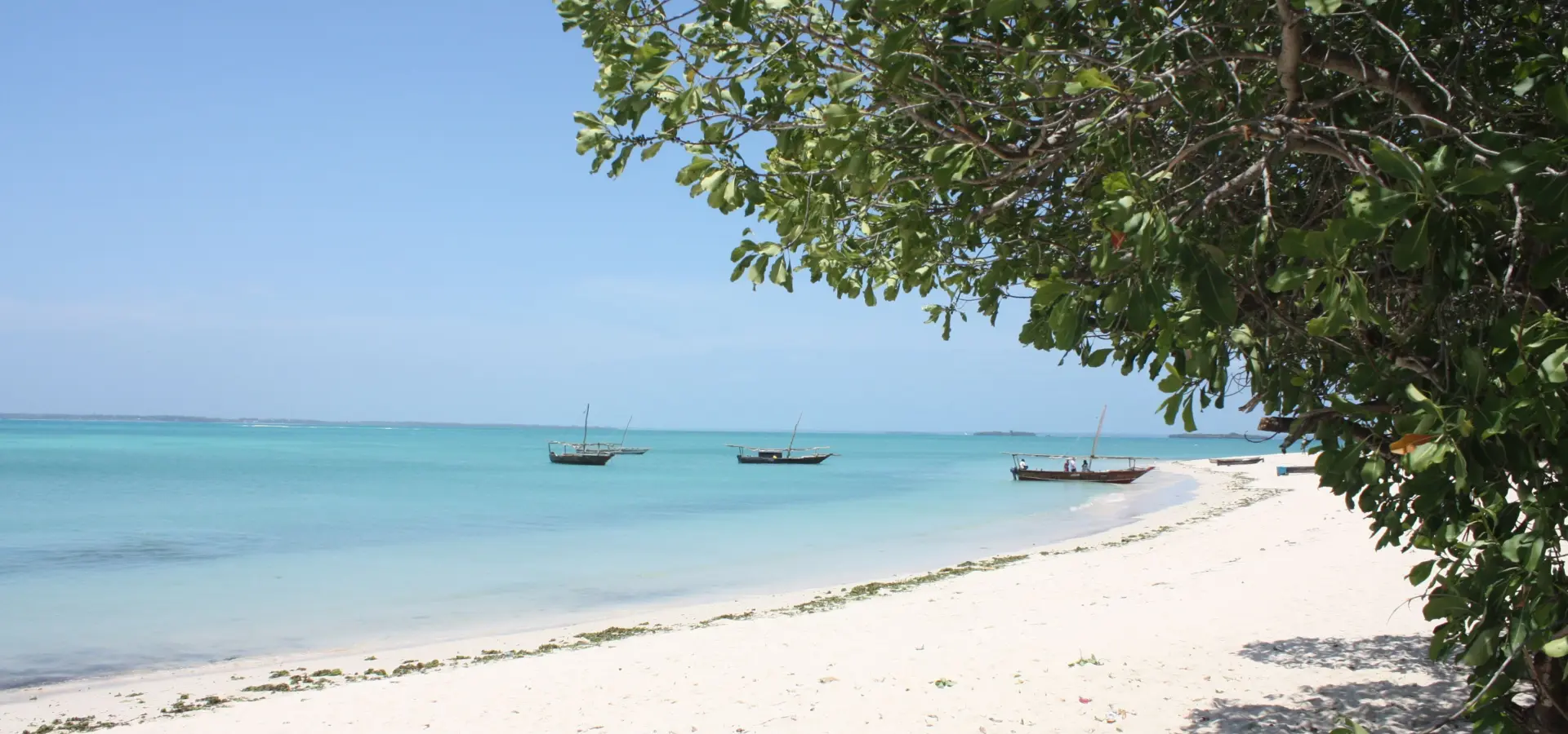 Safari blue cruise kwale island2