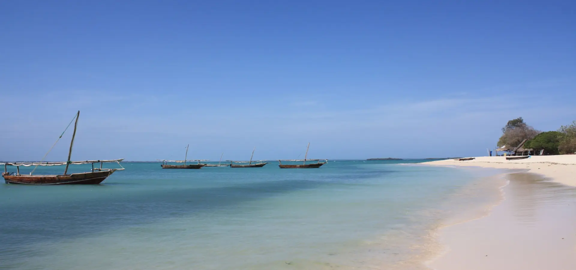 Safari blue cruise kwale island5