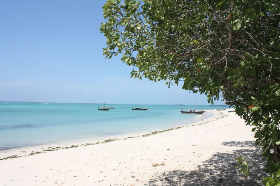 Safari blue cruise kwale island2