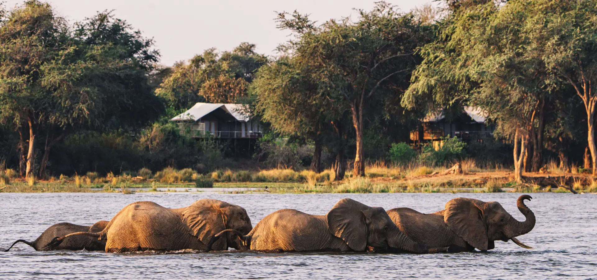 Zambezi river view anabezi camp3
