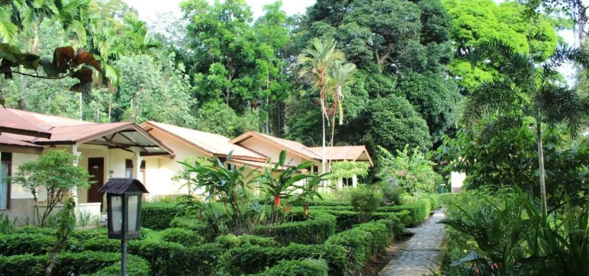 Ecolodge bukit lawang