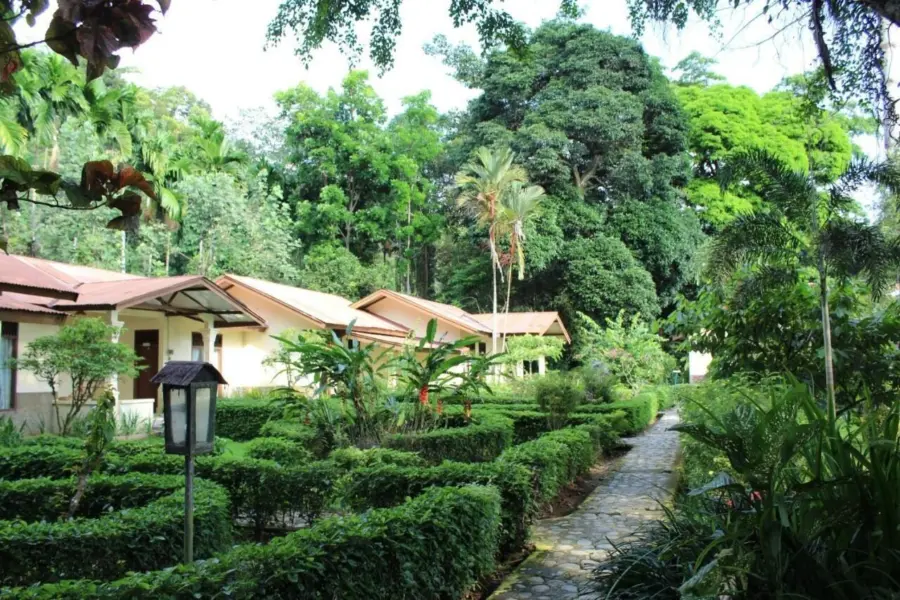 Ecolodge bukit lawang