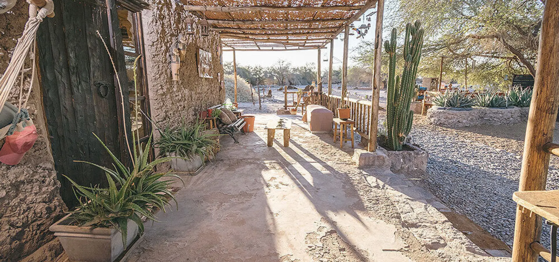 El huarango gallery 01