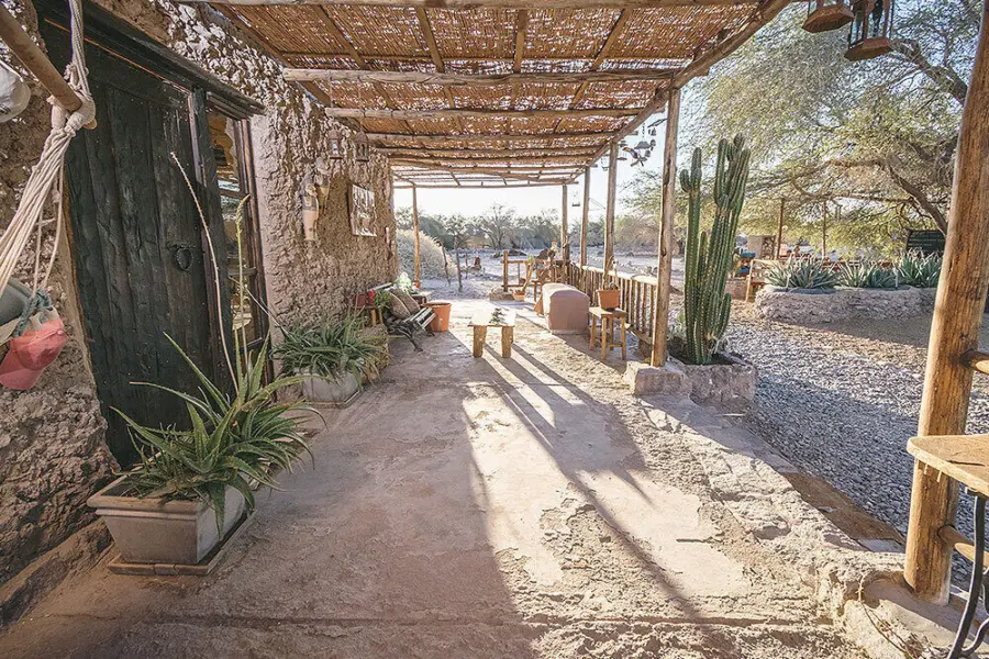 El huarango gallery 01