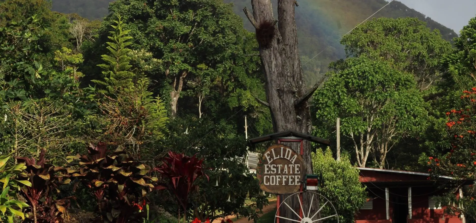 1746012972222 462024443 2297014927299395 3770805319159728001 n