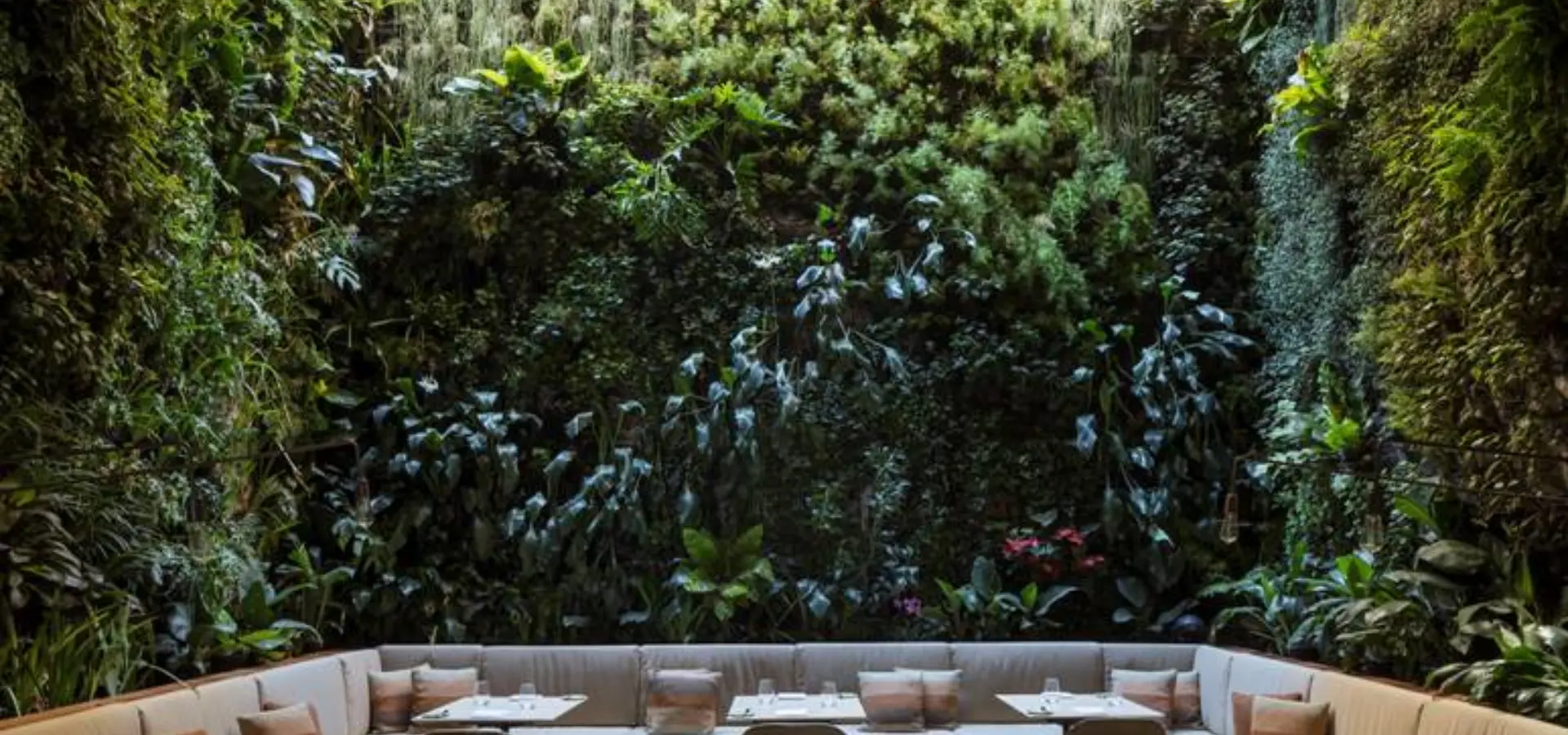 Emiliano com br restaurante emile