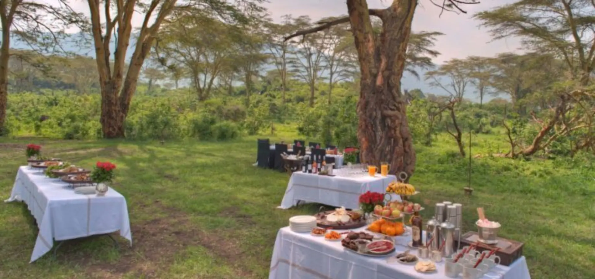 Crater floor banquet at ngorongoro crater andbeyond experience 768x432