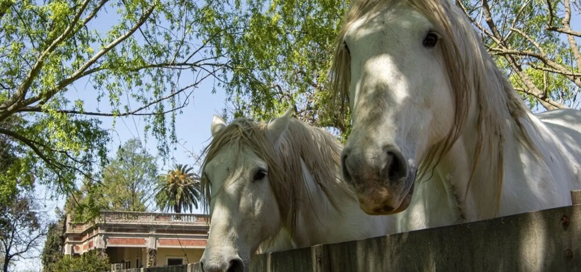 Estancia el ombu de areco 23