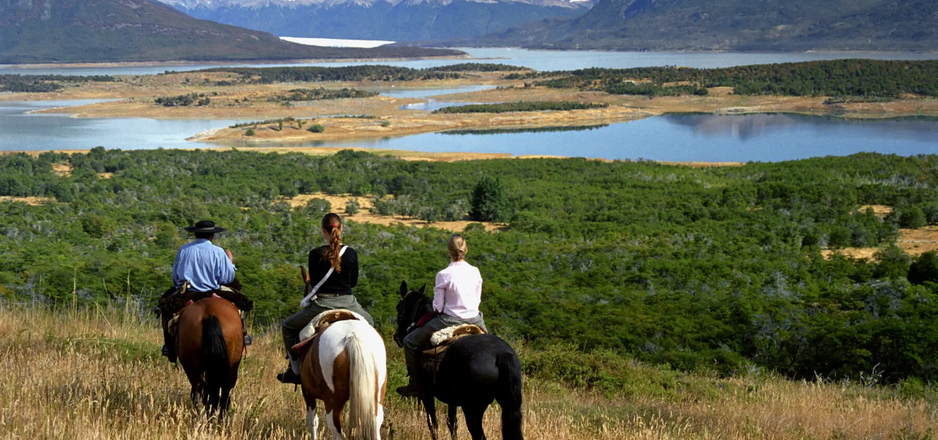 07 02 actividades luis franke 11