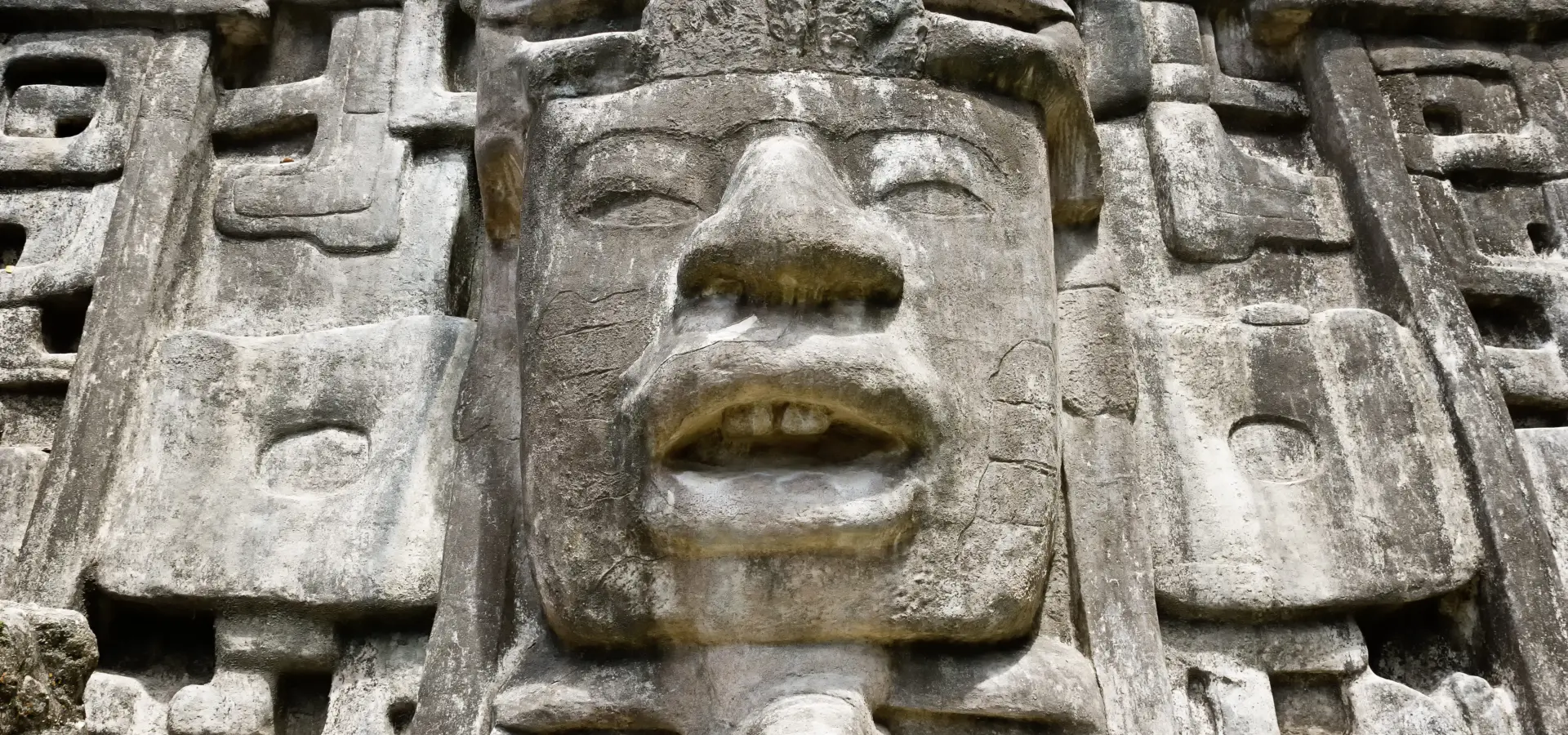 Tempel maya gezicht bos belize