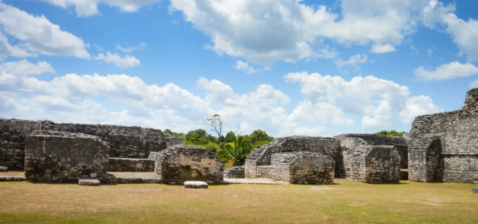 1761130233400bigstock caracol archeological site of 99450464 1000x665