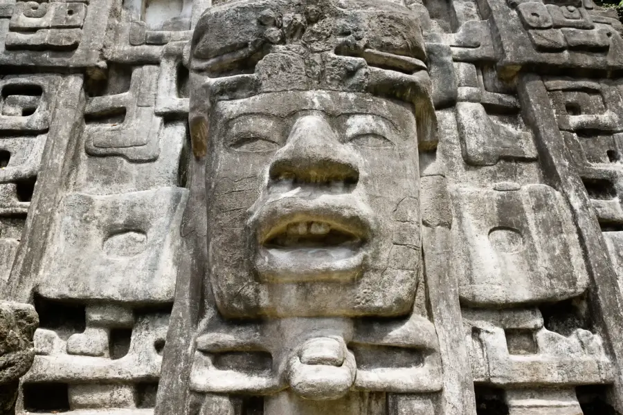 Tempel maya gezicht bos belize