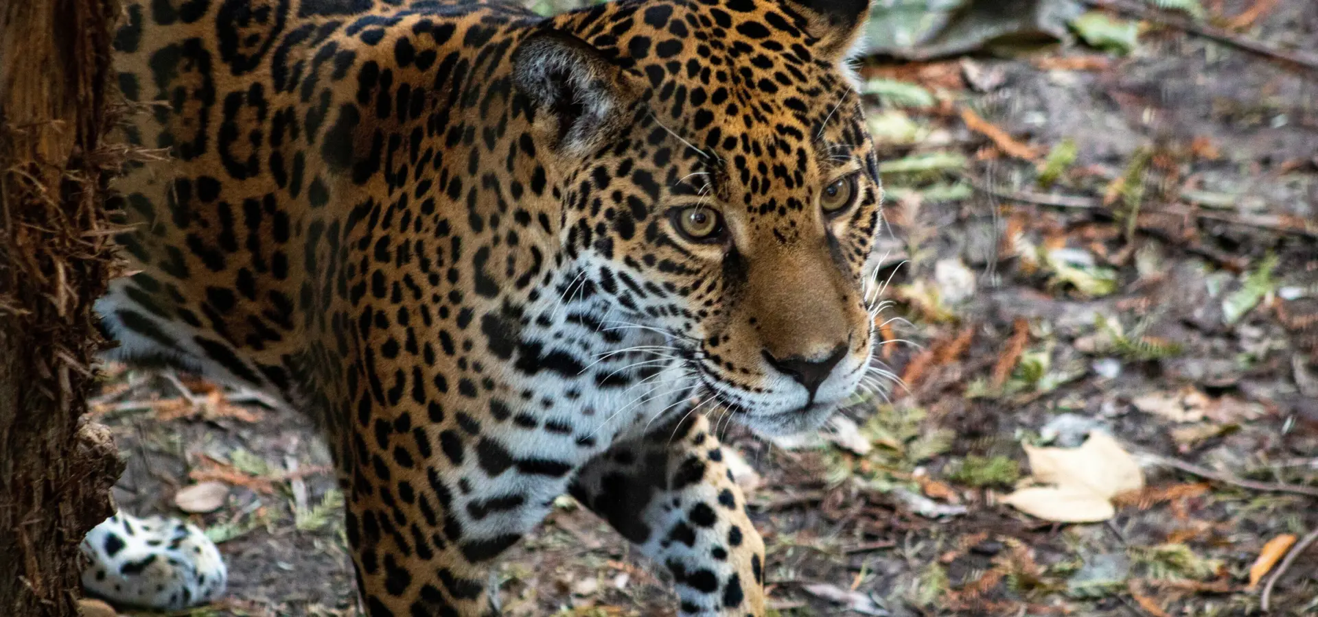 1761132019638joshua j cotten zenddnhlucc unsplash