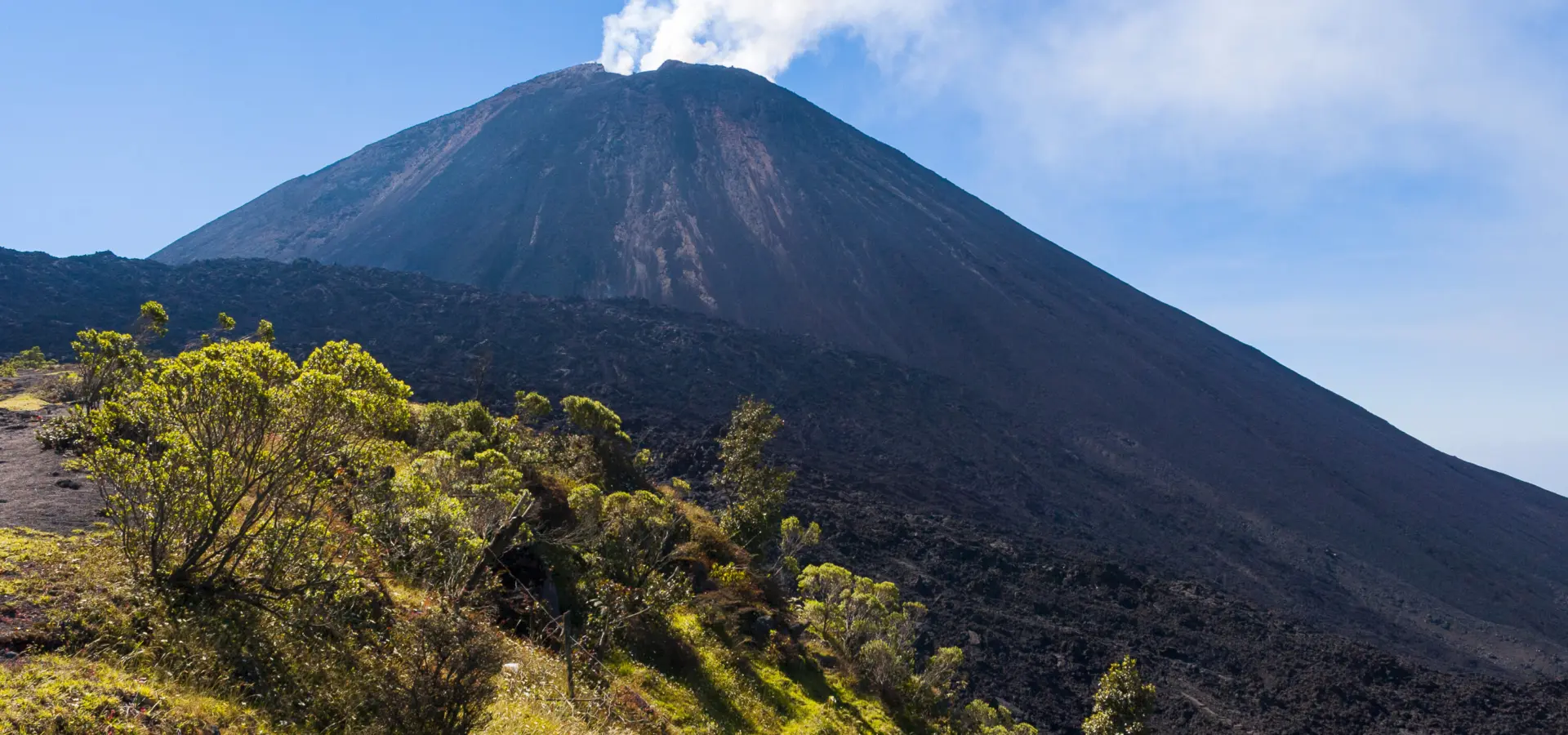 Shutterstock 509976103