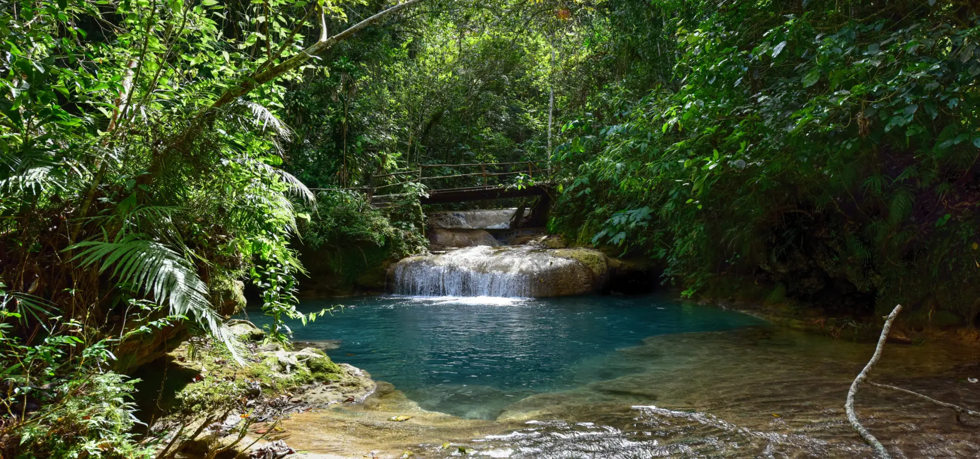 Shutterstock 616479491