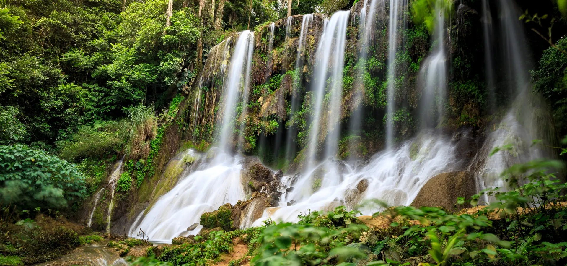 Shutterstock 558416107