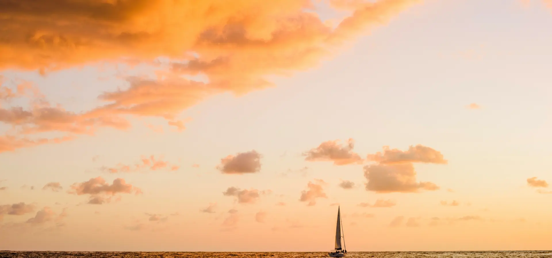 Marco samaniego gomqvskesem unsplash