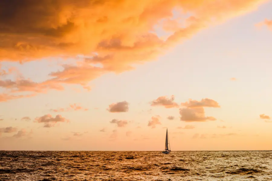 Marco samaniego gomqvskesem unsplash