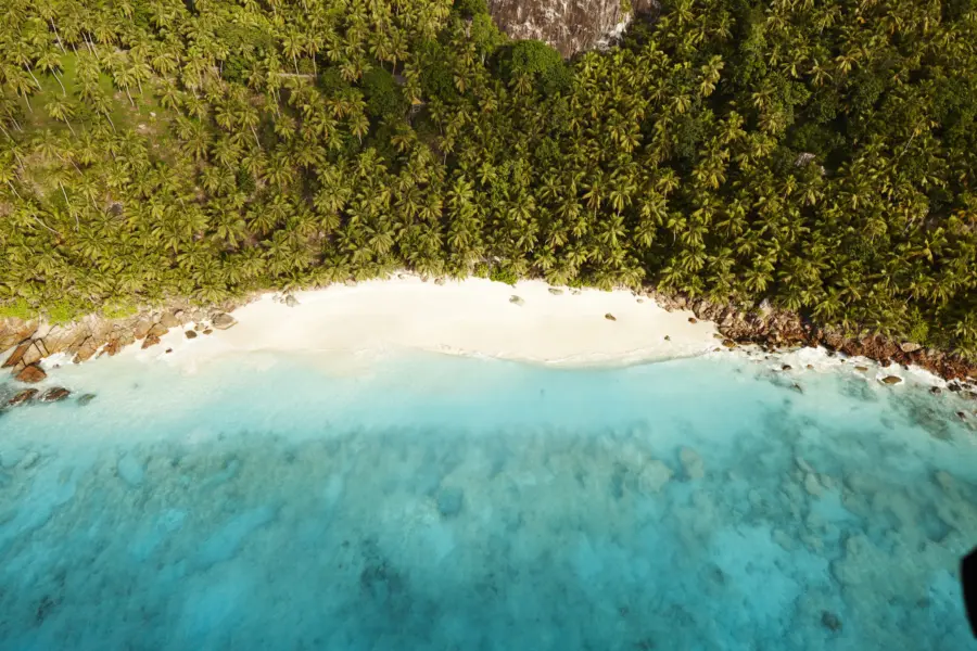 Anse victorin 2111