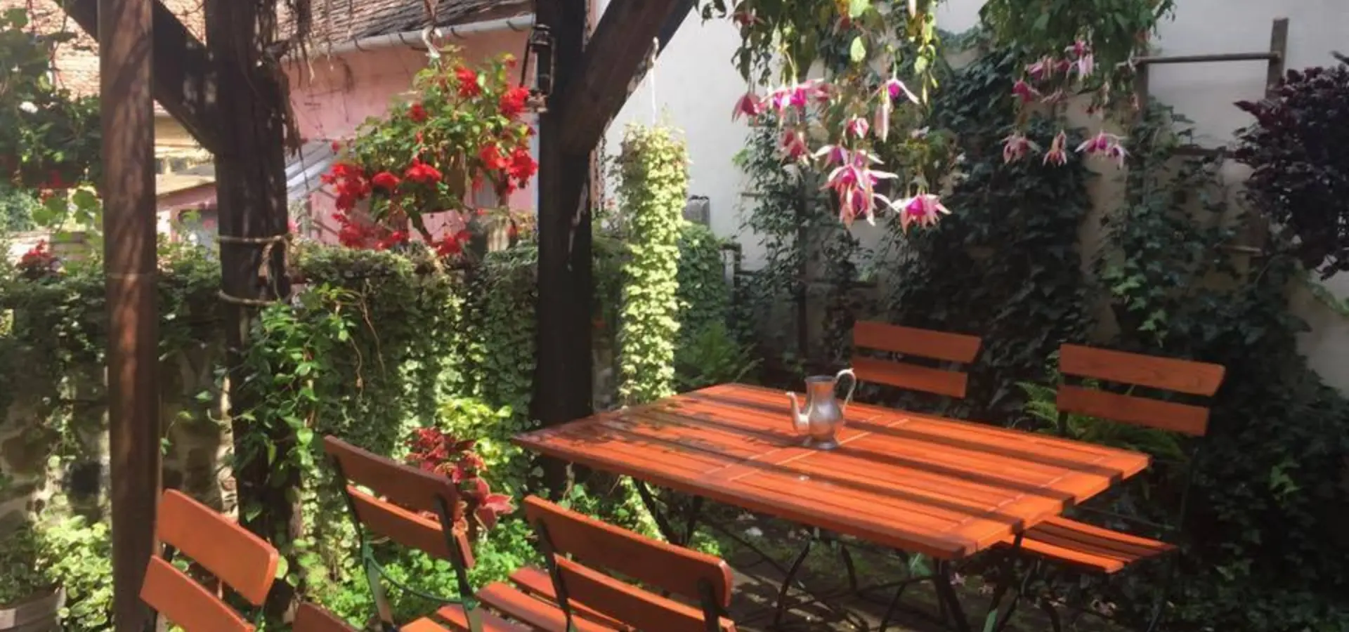 13902809 1042500539136295 3213367303539804002 n