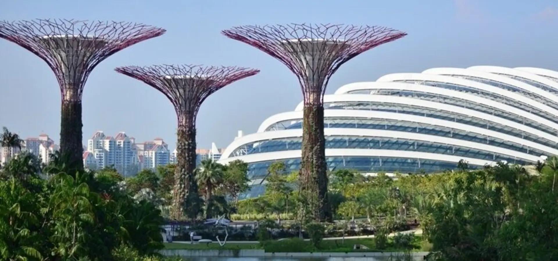 Exo travel day trips singapore futuristic gardens of singapore gallery 76117062