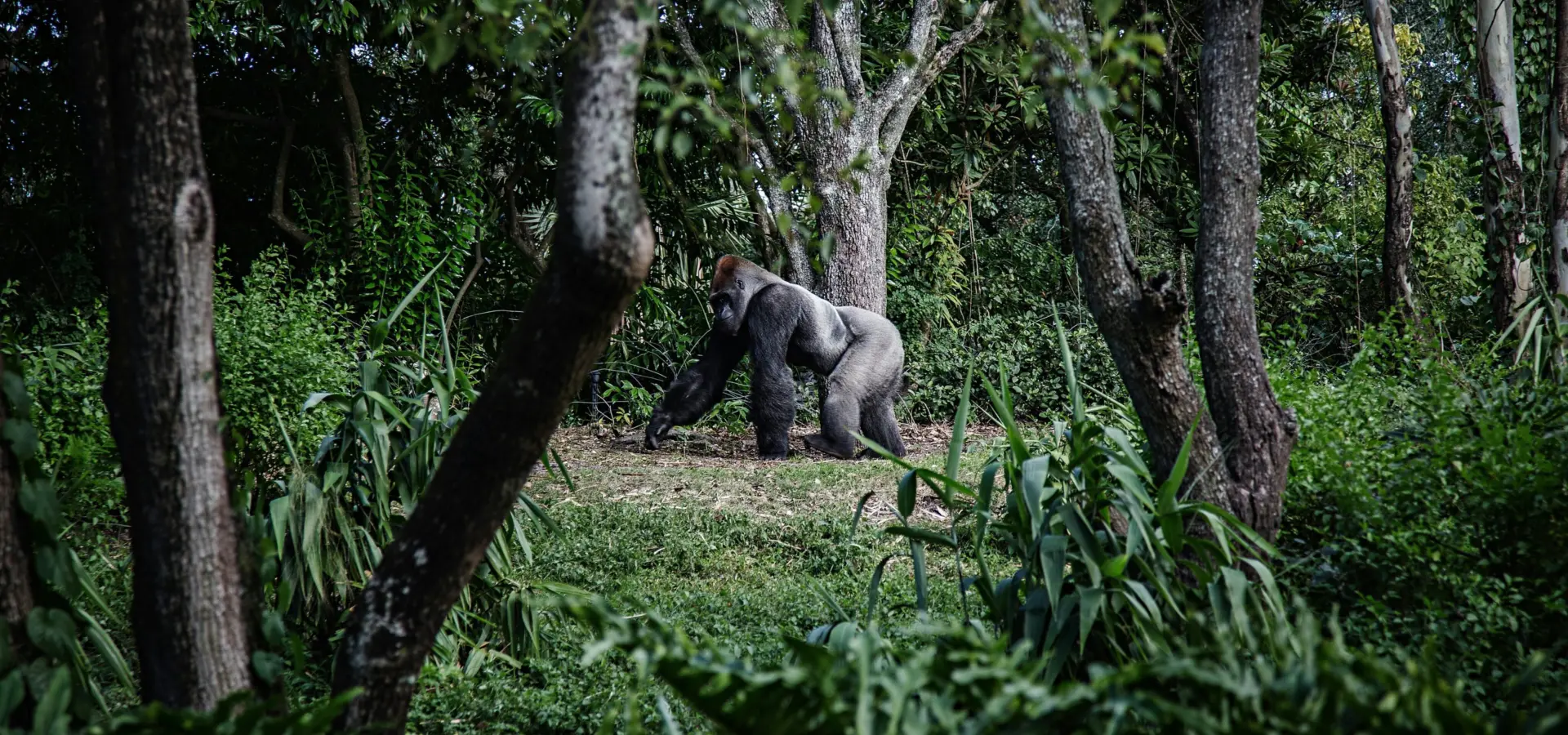 1768916886608mike arney rj5vho8gr2u unsplash