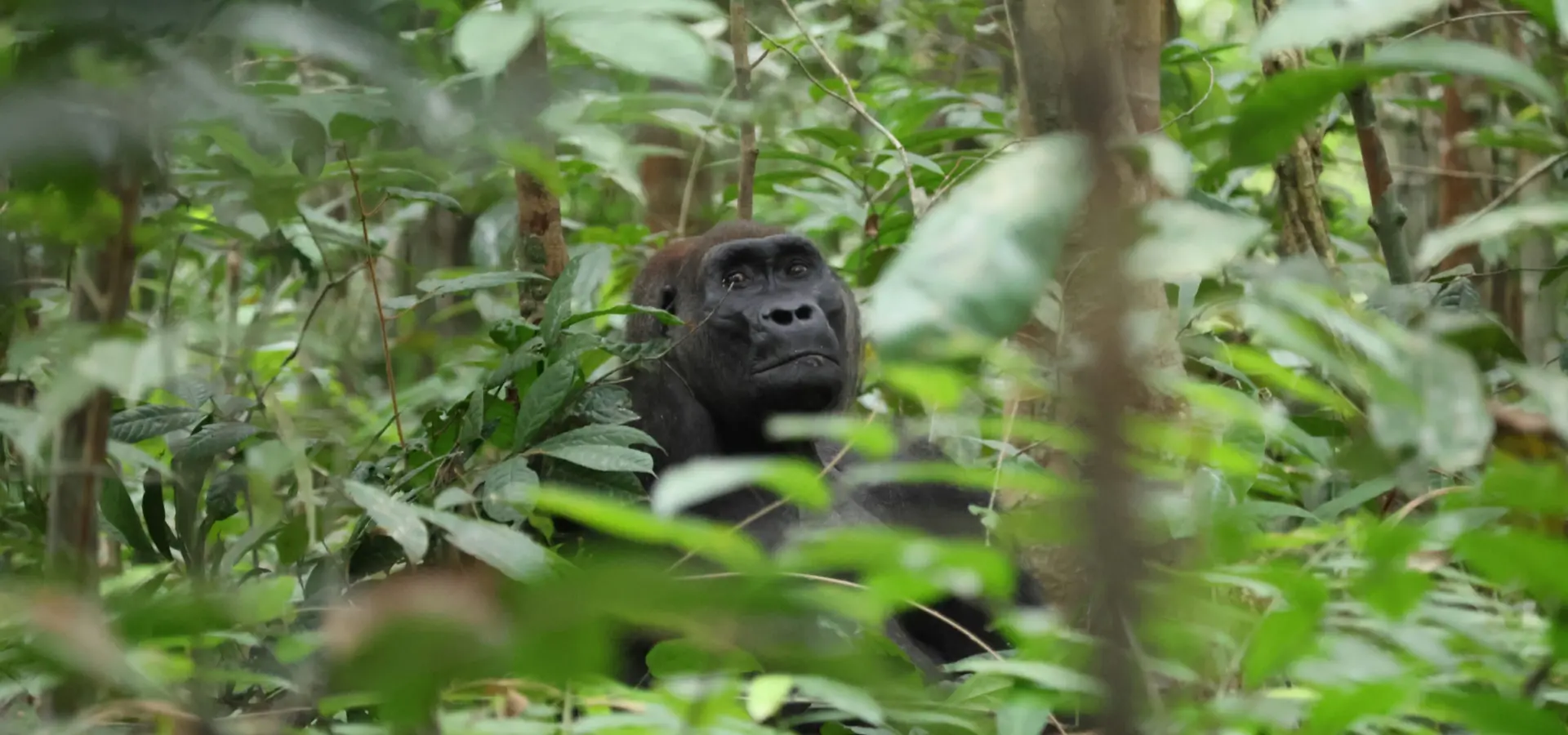 1768916886606fabrizio frigeni tnvshyrn6k unsplash