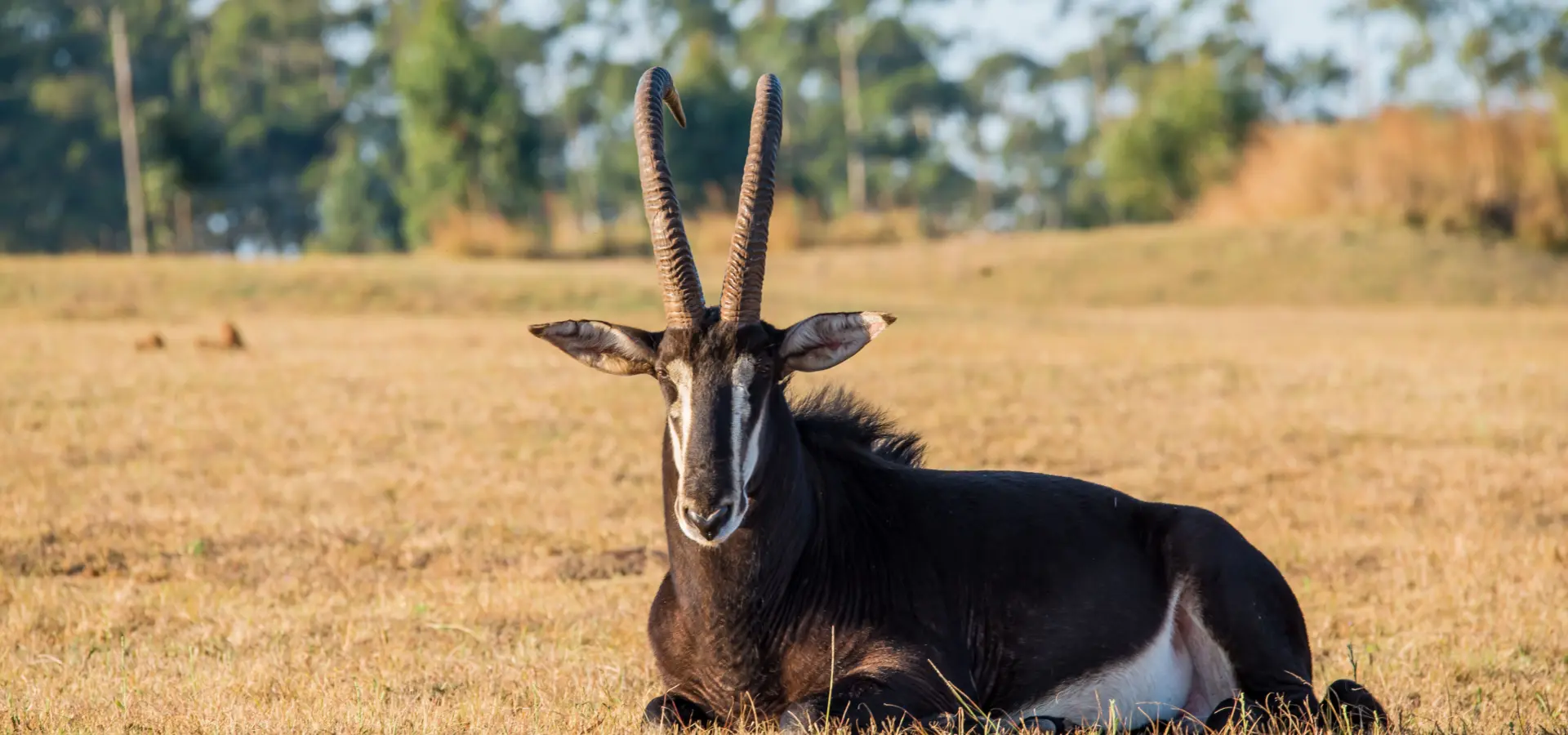 Game haven pjm pics17