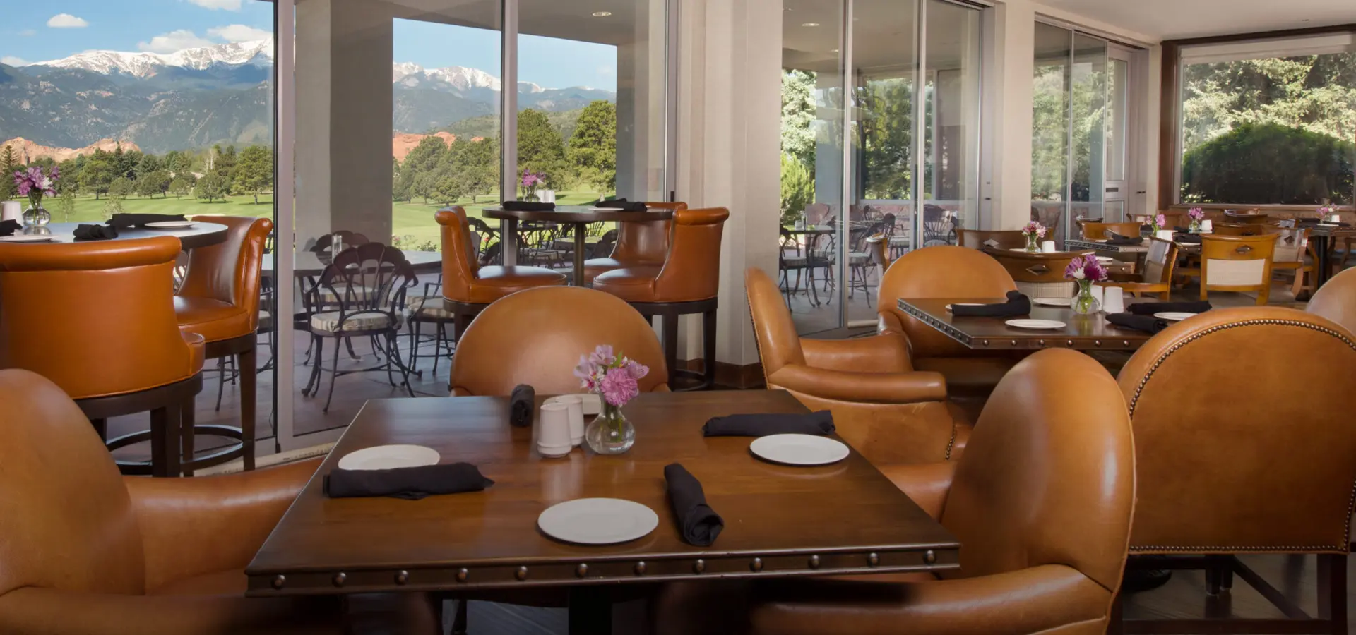 3diii kissingcamelgrille hero 2164x1443