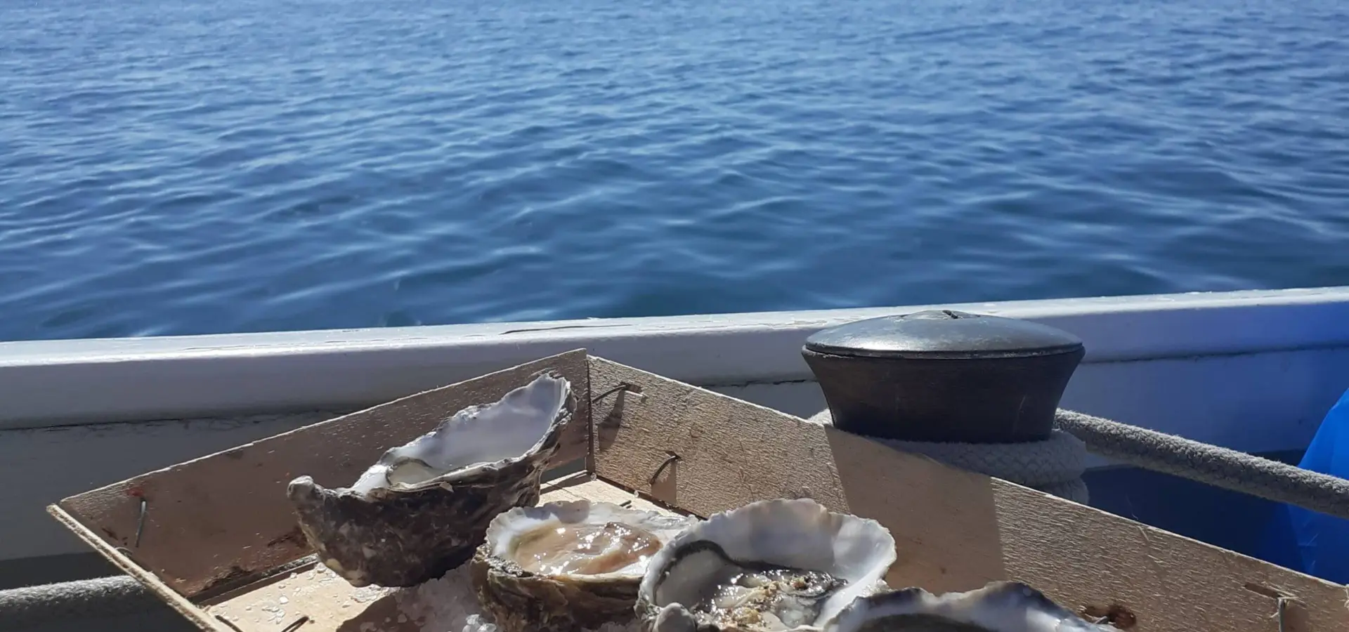 Private cruise st malo area gastronomic cruise oysters tasting