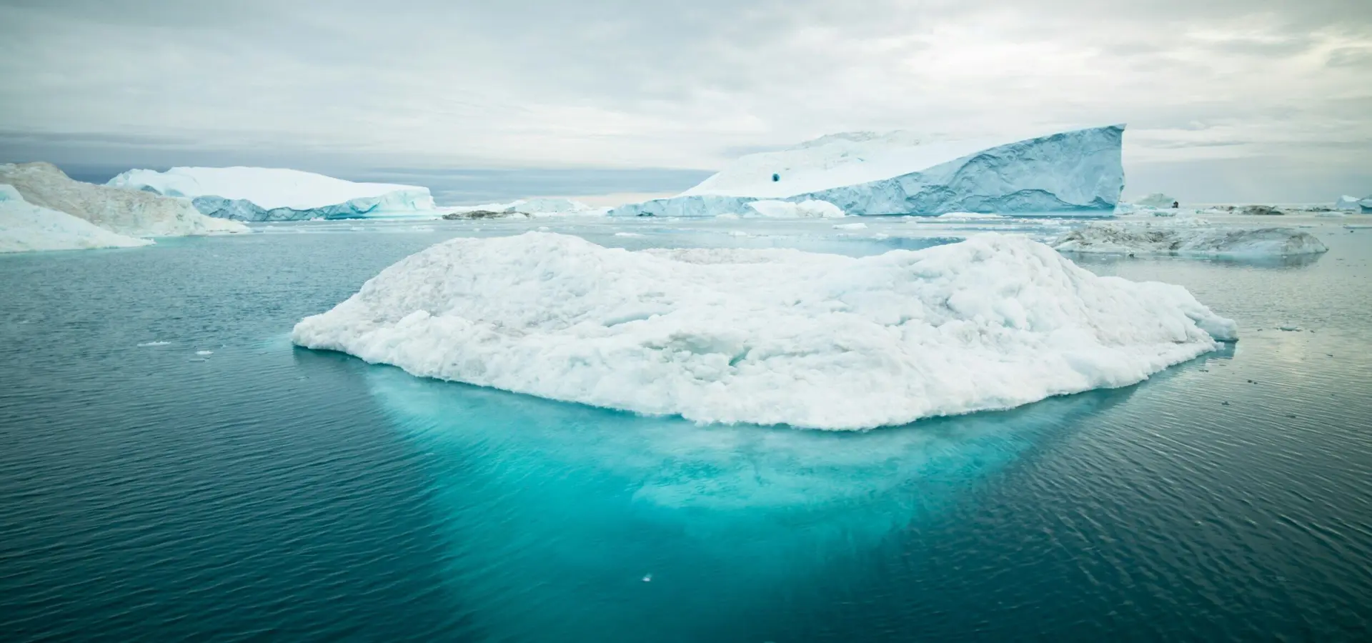 1765381393525alexander hafemann m ewsrl8bk8 unsplash