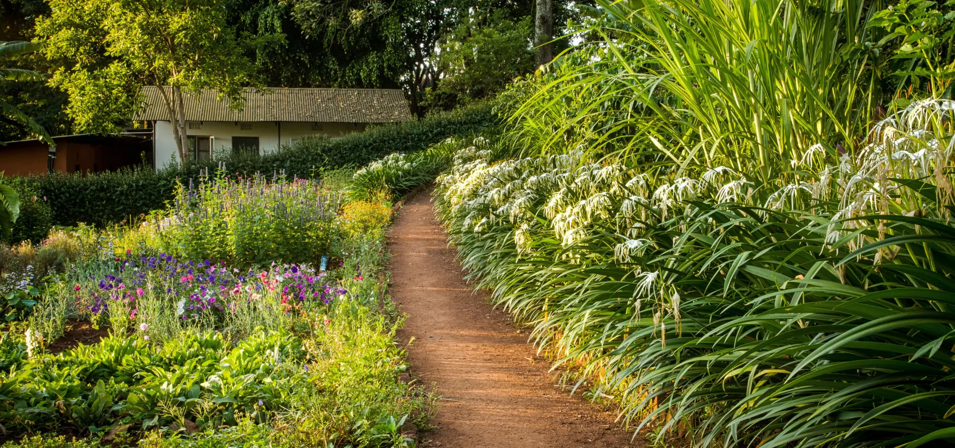 Flower garden 5