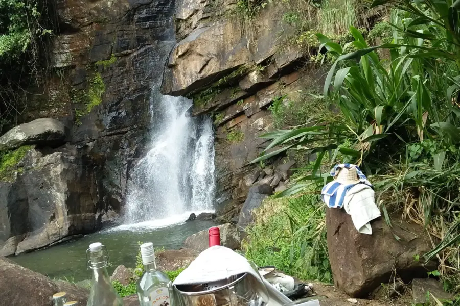 Gin tonics at waterfall ashburnham 11