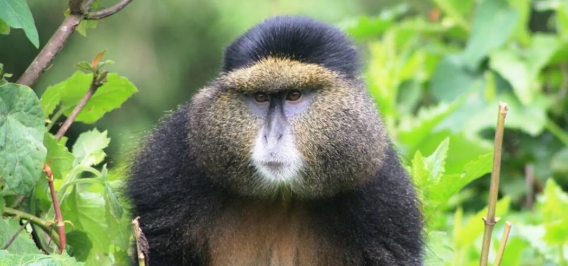 12662004 998272226926974 5702551702311442829 n