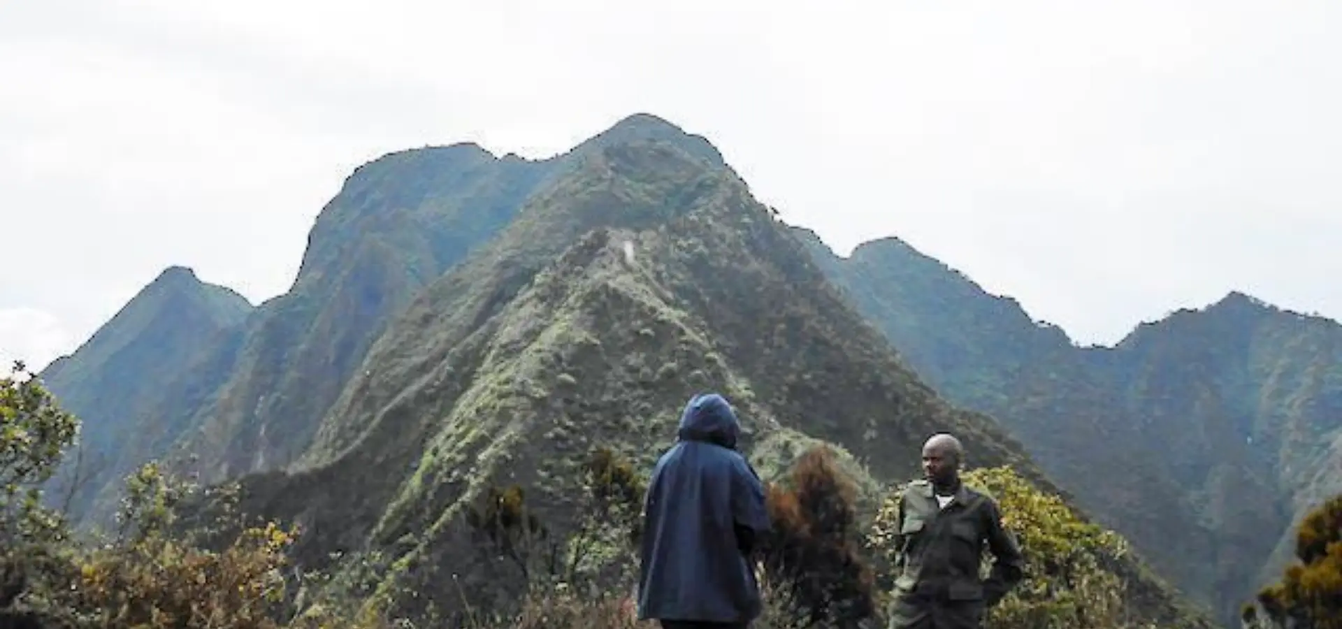 598440 392012734219596 1705457117 n