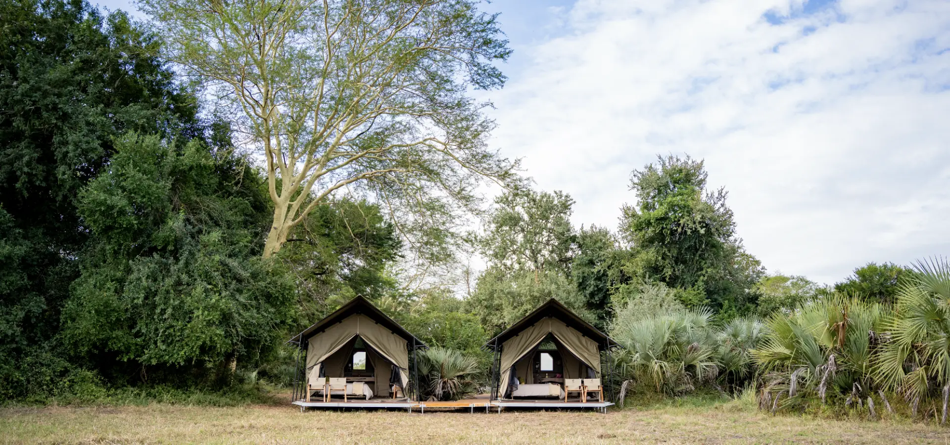 1751477746771 Gorongosa Safaris Chicari 20