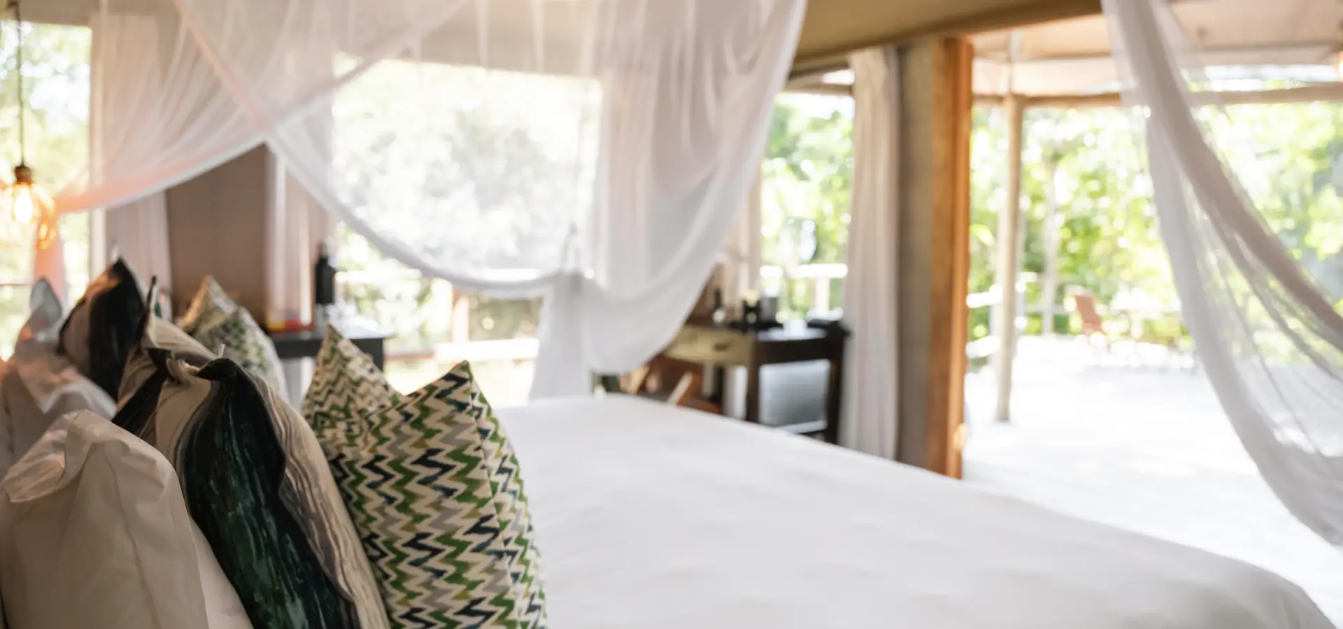 1752756187010 Gorongosa Safaris 30