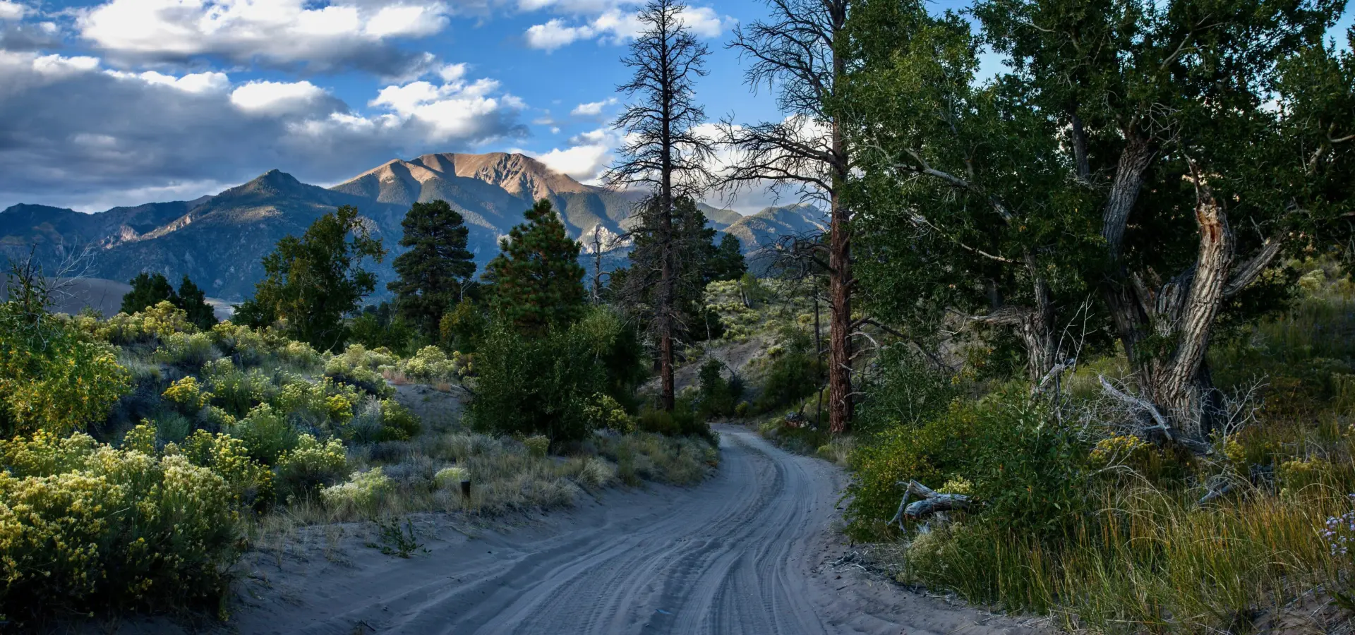 1740143269180 gary smith Z Cwk2 Ng4f D0 unsplash