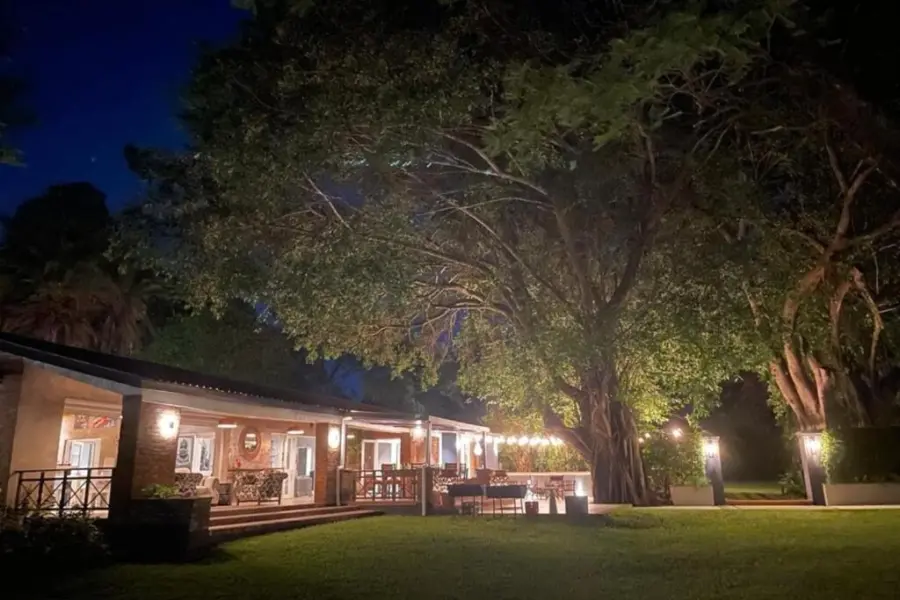 Green elephant lilongwe 4