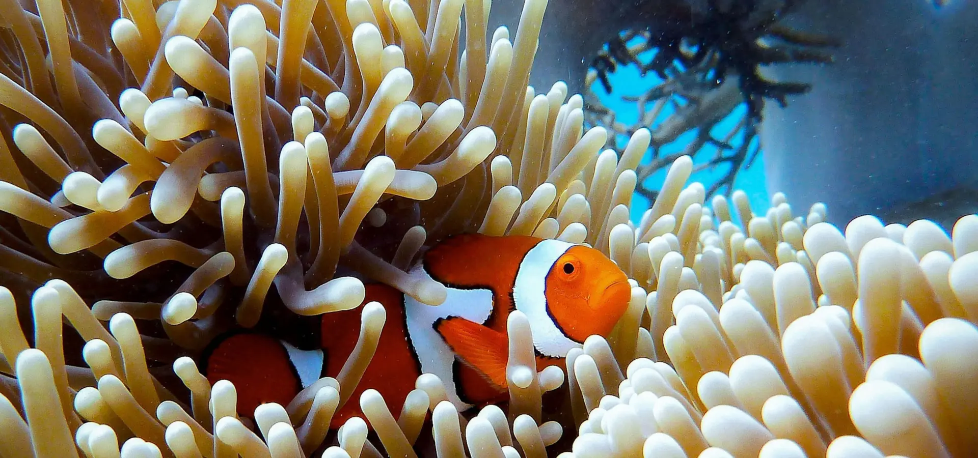 1764935538513giorgia doglioni vzsg8mlzny unsplash