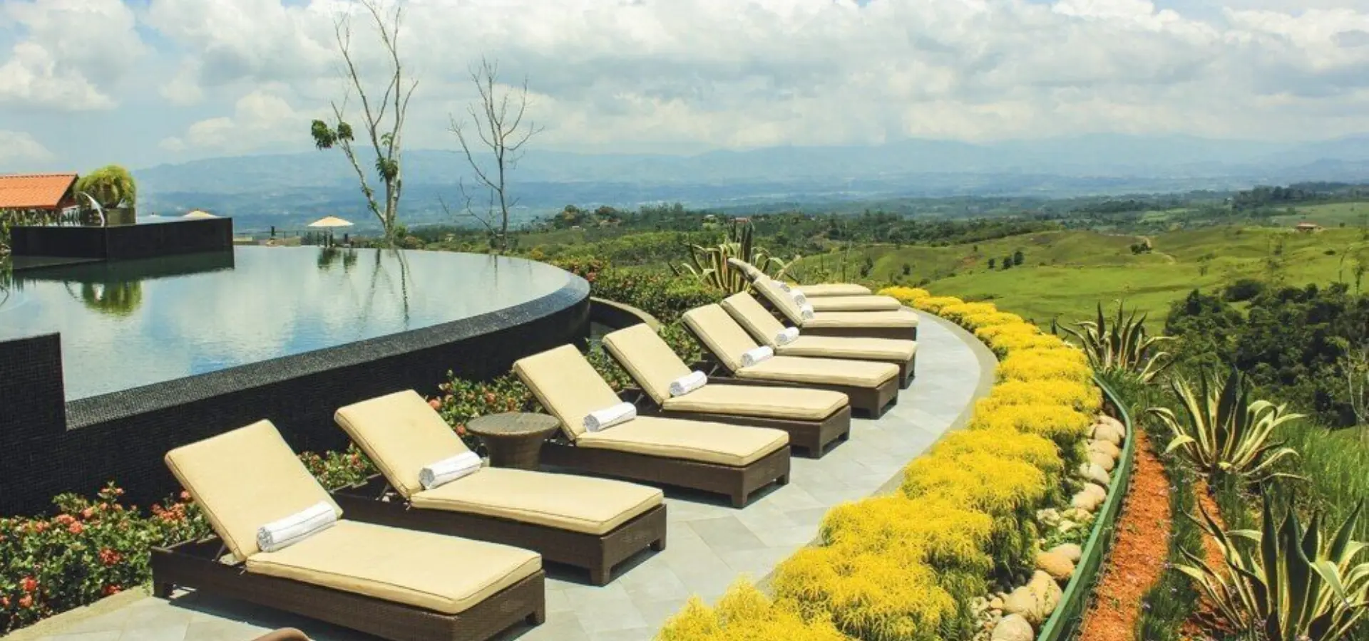 Medgal alg pool