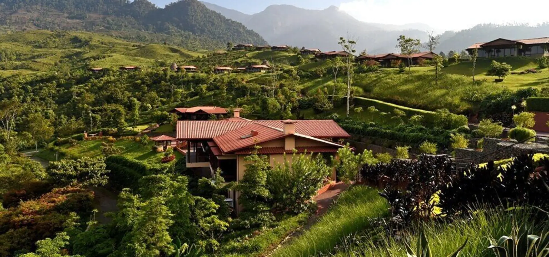 Medgal alg casitas