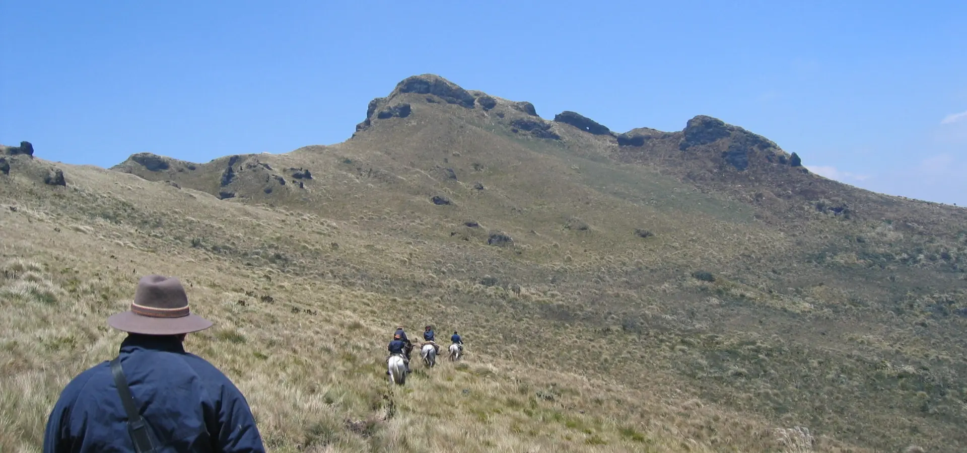 Dudeney paramo 081