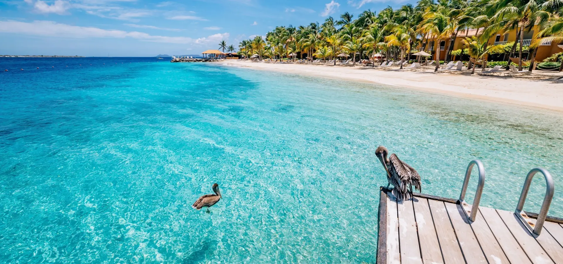 Beach harbour village bonaire lr r6ii1457