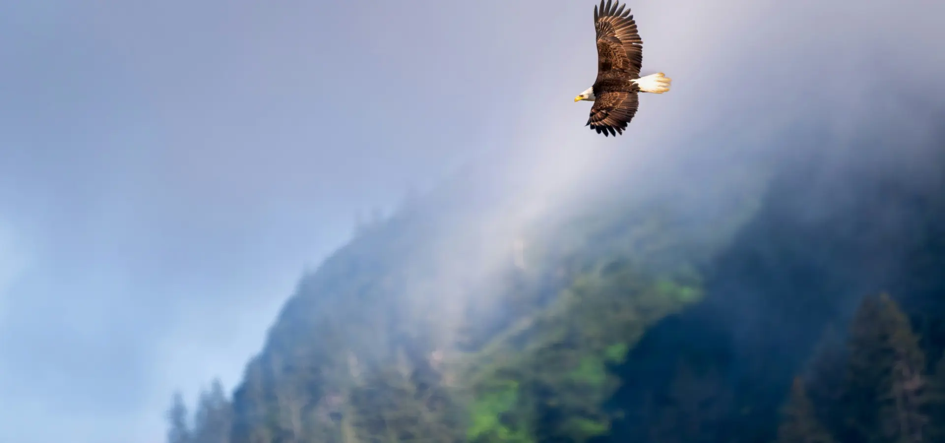 1740060620192 joseph corl h 97 E Jj T9gk unsplash